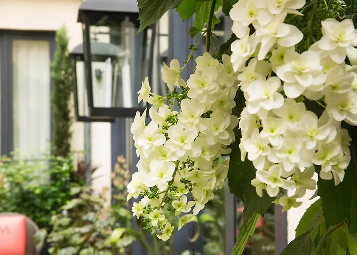 Hotel Villa Madame - Saint-Germain-Des-Pres